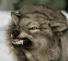 snarling wolf
